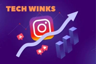 How Can Tech Winks Guide Your Instagram Growth Journey?