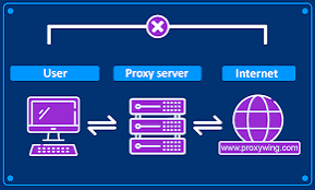 What Proxy Servers Are and Why They Matter in Today’s Internet Economy